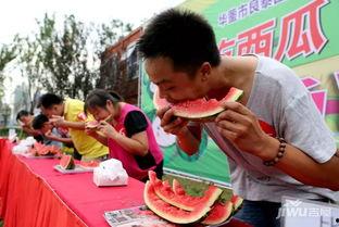 吃瓜网每日大赛今日,精彩对决，今日焦点盘点