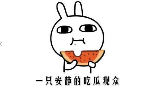 今日吃瓜网红是谁呀,揭秘网络红人的崛起之路