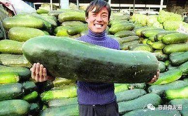 一起吃瓜网官网,带你领略网络吃瓜文化的魅力