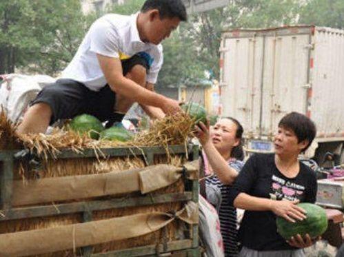 文安县网红吃瓜事件,揭秘网络舆论背后的真相