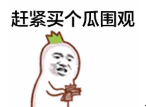 快手网红吃瓜表情包搞笑,笑料横飞，欢乐无限！