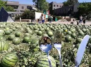 2017年吃瓜网,年度娱乐圈大事件盘点